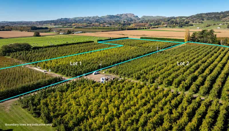 83 Mount Erin Road, Havelock North