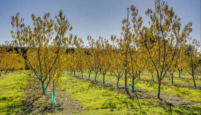 83 Mount Erin Road, Havelock North