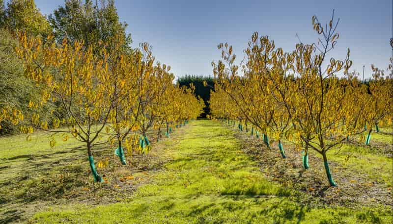 83 Mount Erin Road, Havelock North