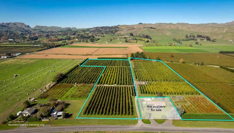 83 Mount Erin Road, Havelock North