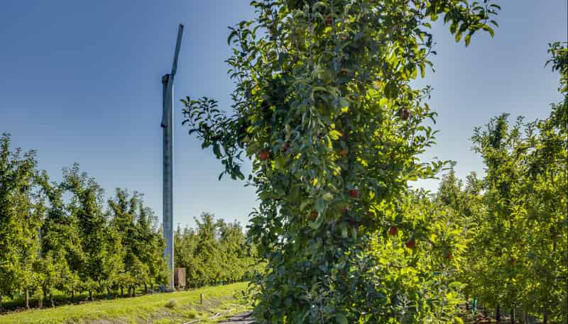 83 Mount Erin Road, Havelock North