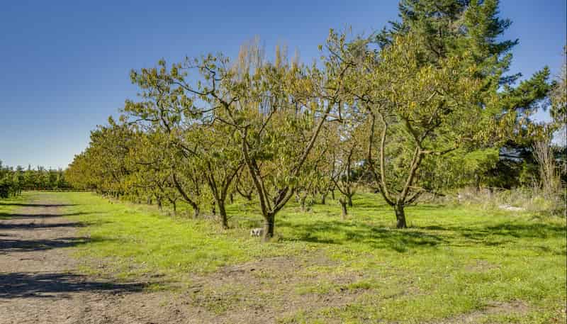 83 Mount Erin Road, Havelock North