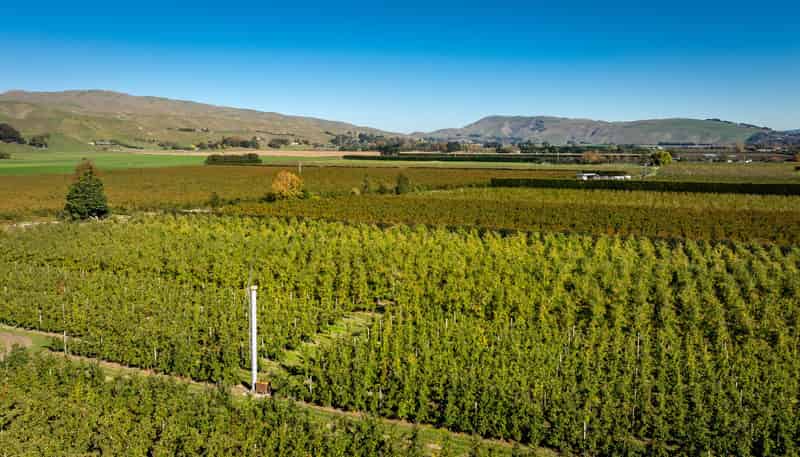 83 Mount Erin Road, Havelock North