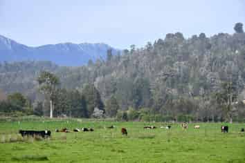 106 Granite Creek Road, Karamea
