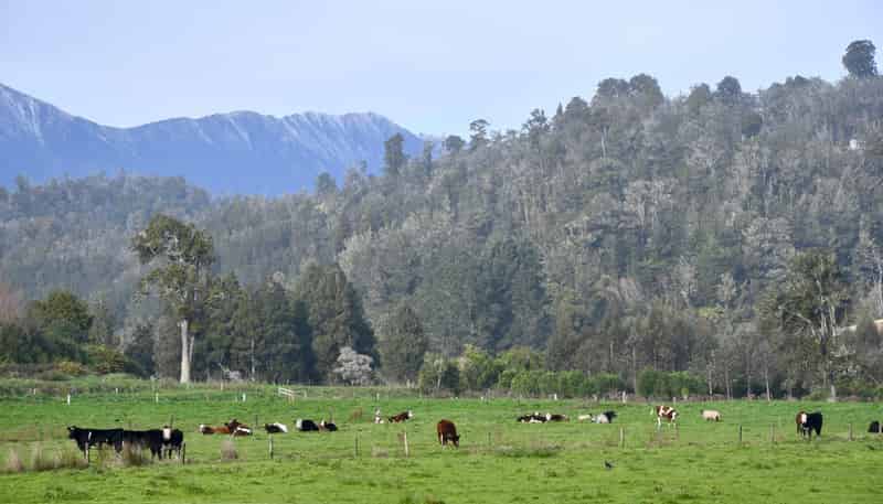 106 Granite Creek Road, Karamea