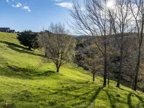 70 Pineleigh Drive, Poraiti
