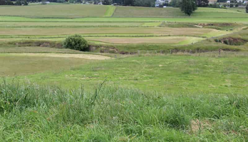 Lot 1 254 Tokorangi Road, Halcombe