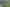 10A Moule Street, Kihikihi