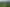10A Moule Street, Kihikihi