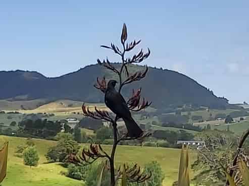 26 Puriri Glade, Maungaturoto