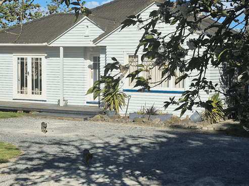 26 Puriri Glade, Maungaturoto