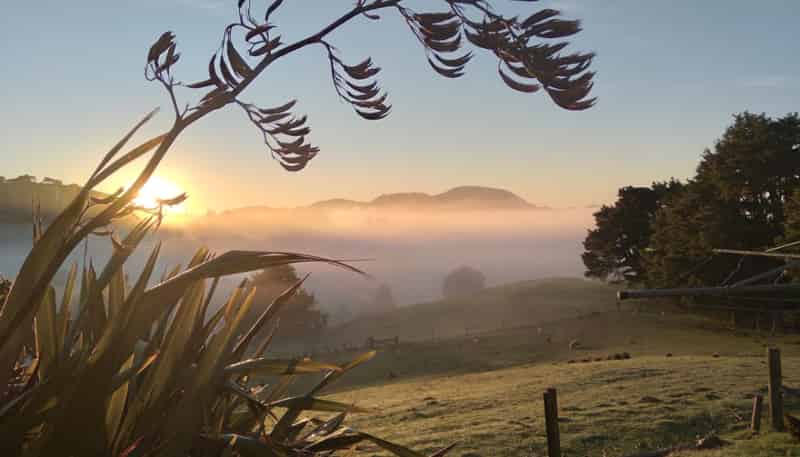 26 Puriri Glade, Maungaturoto