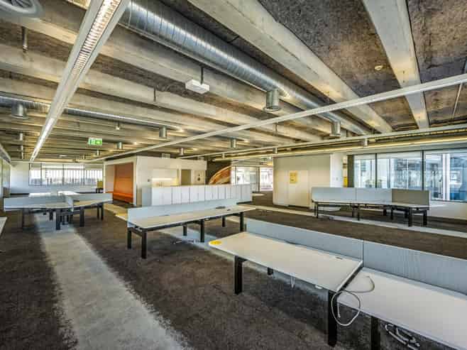 Versatile Ellerslie office space