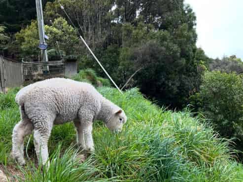 1/1342B Akatarawa Road, Akatarawa