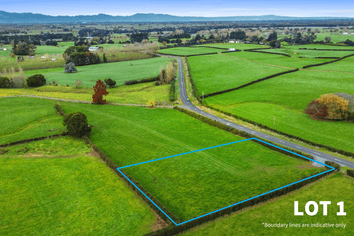 356 Mangateparu Loop Road, Morrinsville