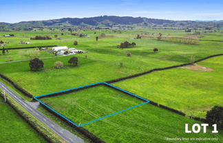 356 Mangateparu Loop Road, Morrinsville