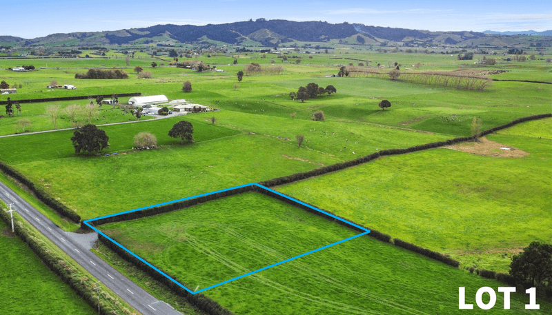 356 Mangateparu Loop Road, Morrinsville