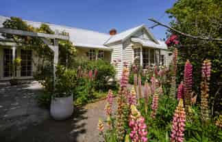 15 Terrace Road, Leithfield