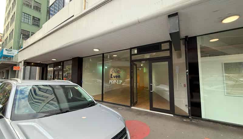  17 Bond Street, Wellington Central
