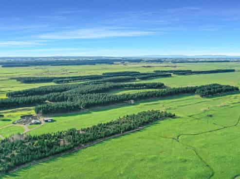 200 Beamish Road, Bulls