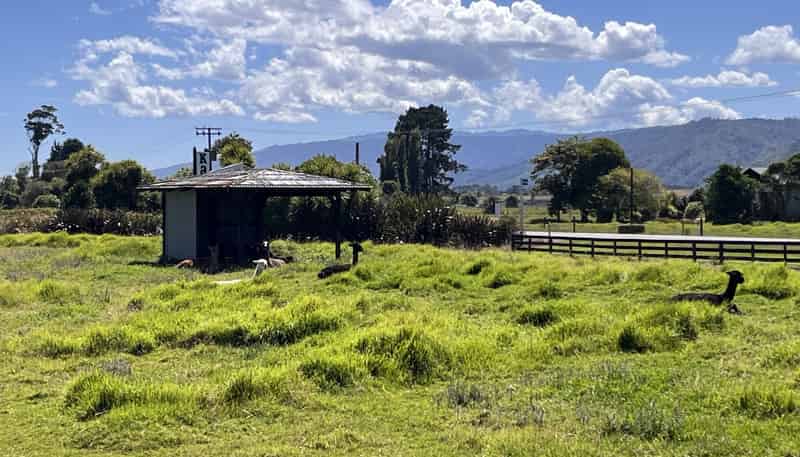 78 Bridge Street, Karamea