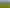 Strategic industrial landholding