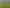 Strategic industrial landholding