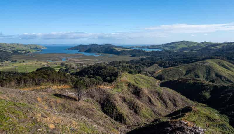 982B Manaia Road, Coromandel