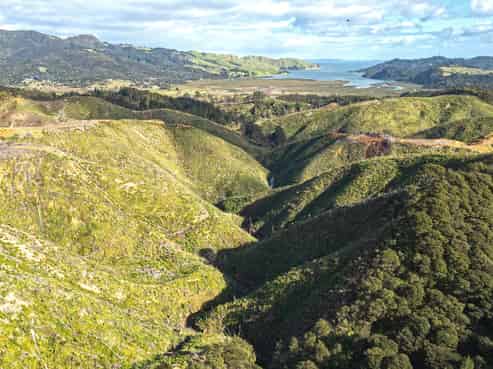 982B Manaia Road, Coromandel