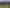 994 Work Road, Katikati