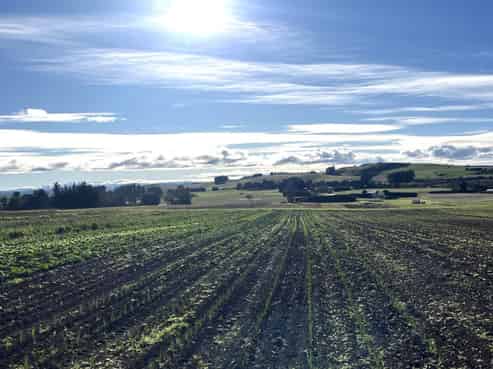 469 Alma-maheno Road, Deborah