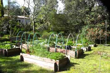 66 Palmer Road, Foxton Beach