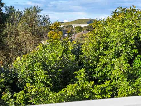 9/36 Wilkinson Road, Ellerslie