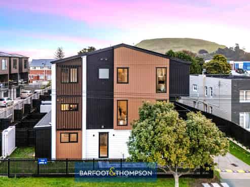 53 Court Crescent, Panmure