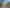Auckland - Address withheld