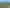 Auckland - Address withheld