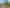 Auckland - Address withheld