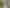 Auckland - Address withheld