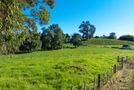 321 Tuhimata Road, Paerata, Franklin, Auckland