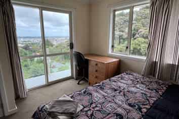 20B/20 Lachlan Lachlan , North Dunedin