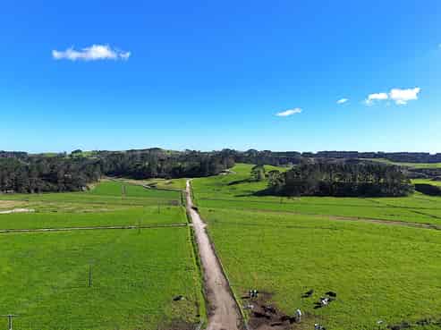 454 West Coast Road, Te Kopuru