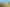 Auckland - Address withheld