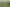 Lot 1 Wharepuhunga Road, Te Awamutu