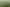 Lot 1 Wharepuhunga Road, Te Awamutu
