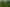 Lot 1 Wharepuhunga Road, Te Awamutu
