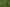 Lot 1 Wharepuhunga Road, Te Awamutu