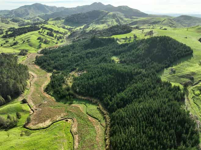   State Highway 14, Tangiteroria