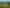 352 Puhipuhi Road, Whakapara