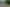 Bay of Plenty - Address withheld