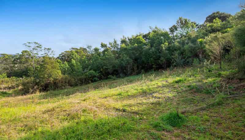 6 Madeira Lane, Massey